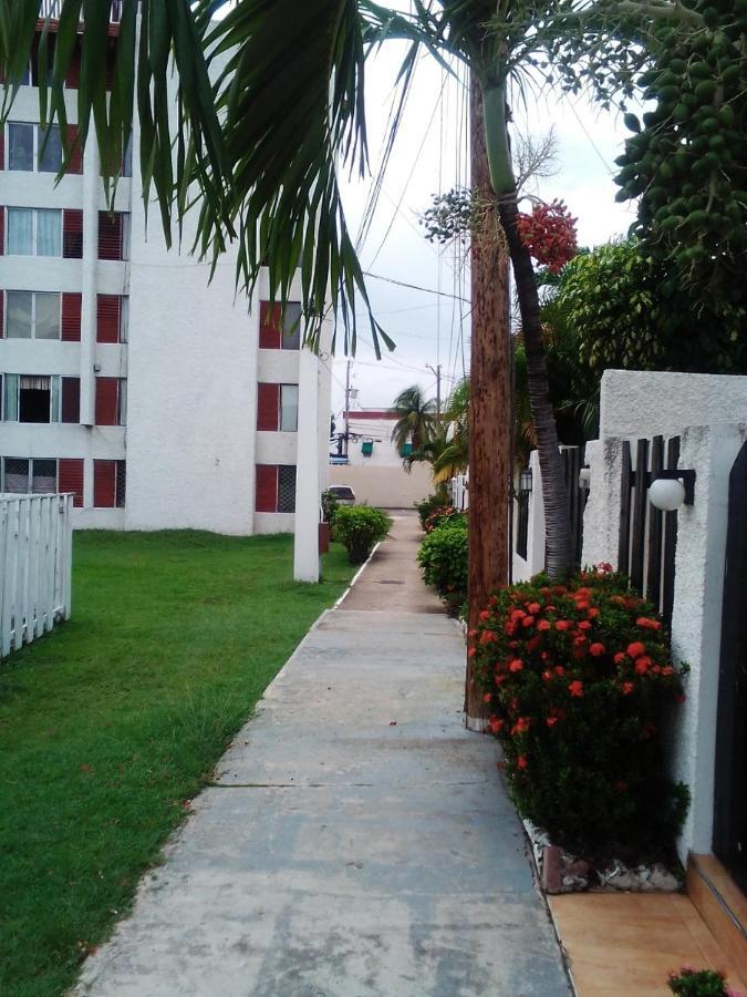 Appartamento Nice Oakwood Constant Spring Rd Apt Kingston Esterno foto