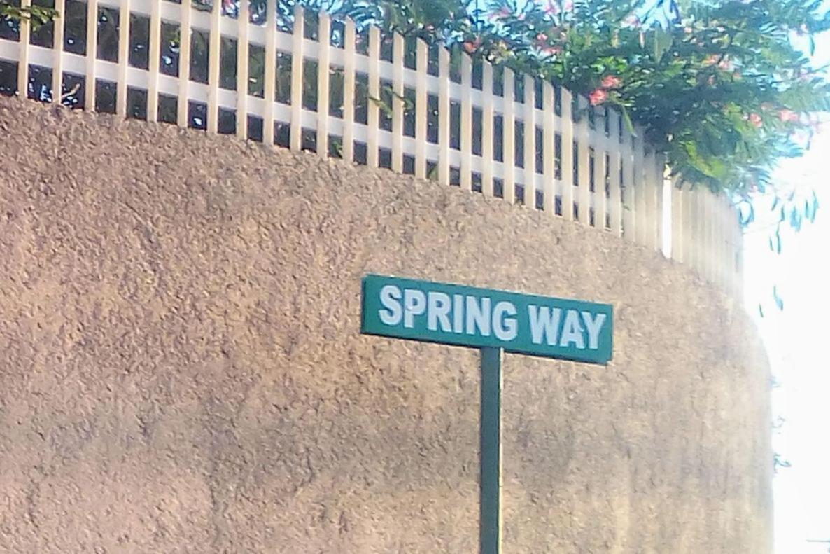 Appartamento Nice Oakwood Constant Spring Rd Apt Kingston Esterno foto